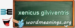 WordMeaning blackboard for xenicus gilviventris